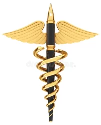 Writing about medicine 202